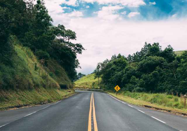 asphalt road surrounded by trees