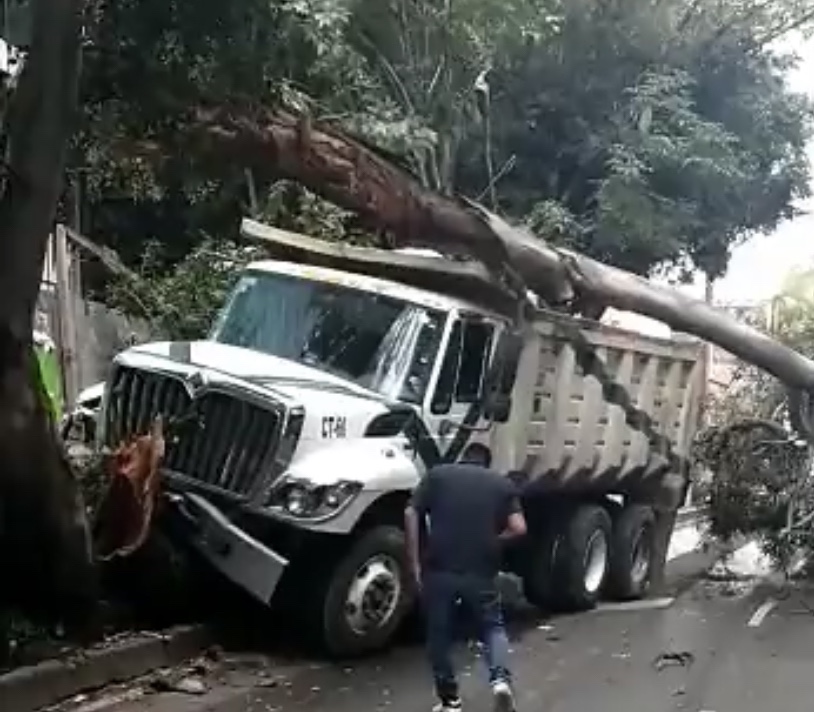 Choca camión de carga contra una camioneta y un árbol en Periférico ...